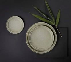 ASA Selection essteller, bonsai