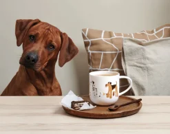 ASA Selection henkelbecher, basset hound