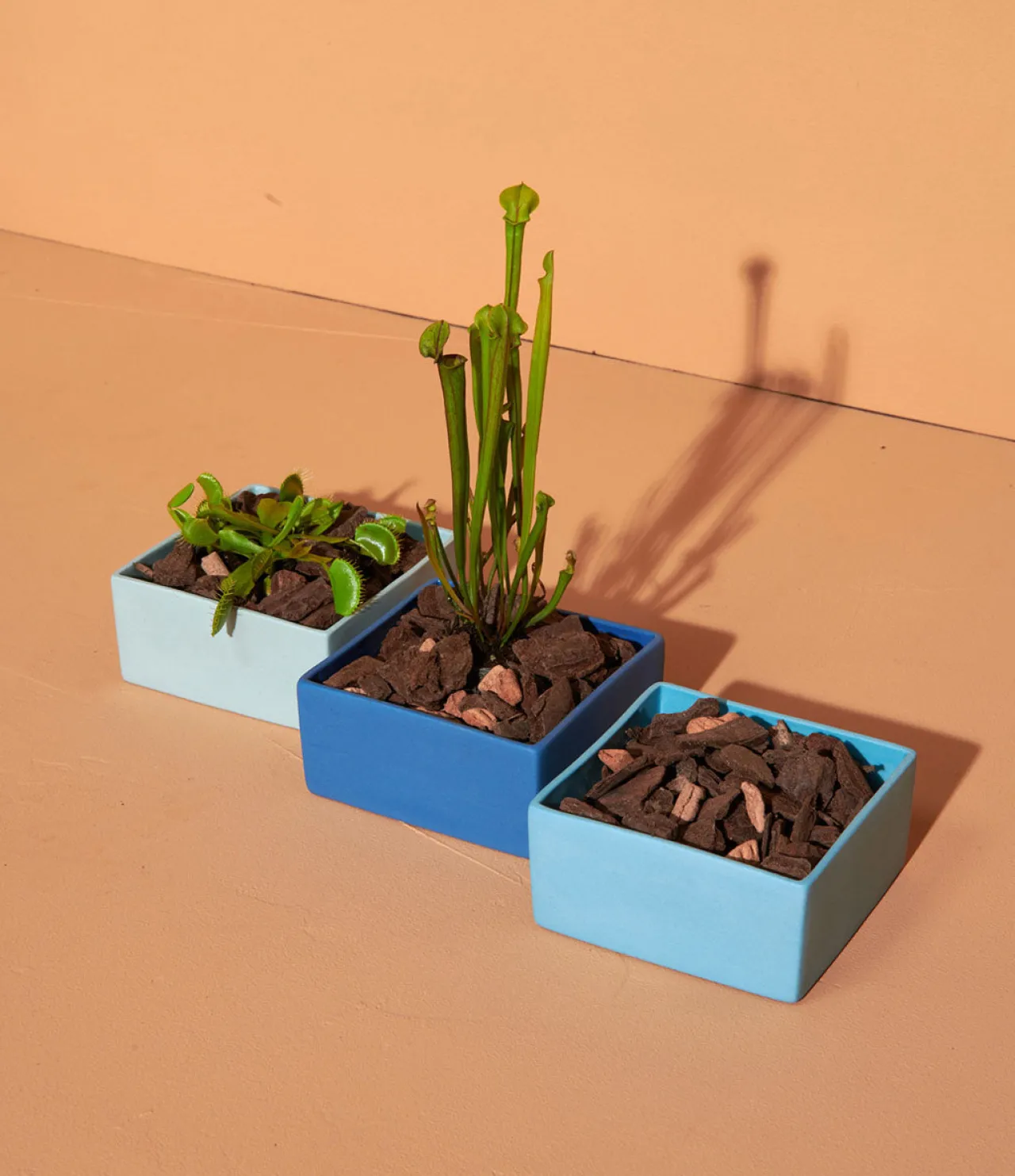 ASA Selection schale, blau