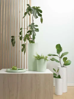 ASA Selection schale, silver birch